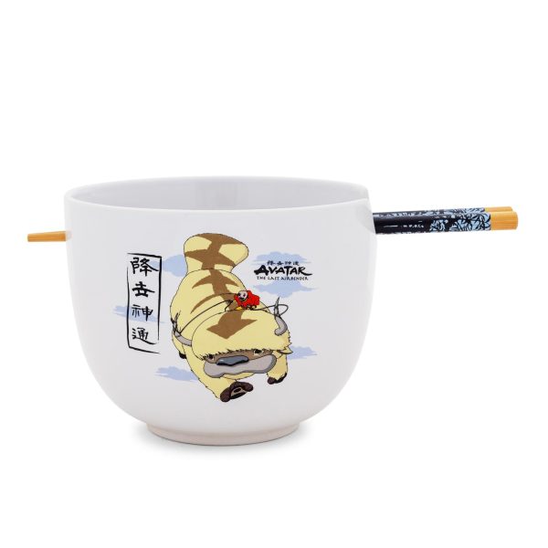 Avatar: The Last Airbender Aang and Appa Ceramic Ramen Bowl and Chopstick Set Discount